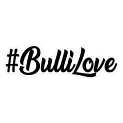 BulliLove Sticker Bulli Liebe